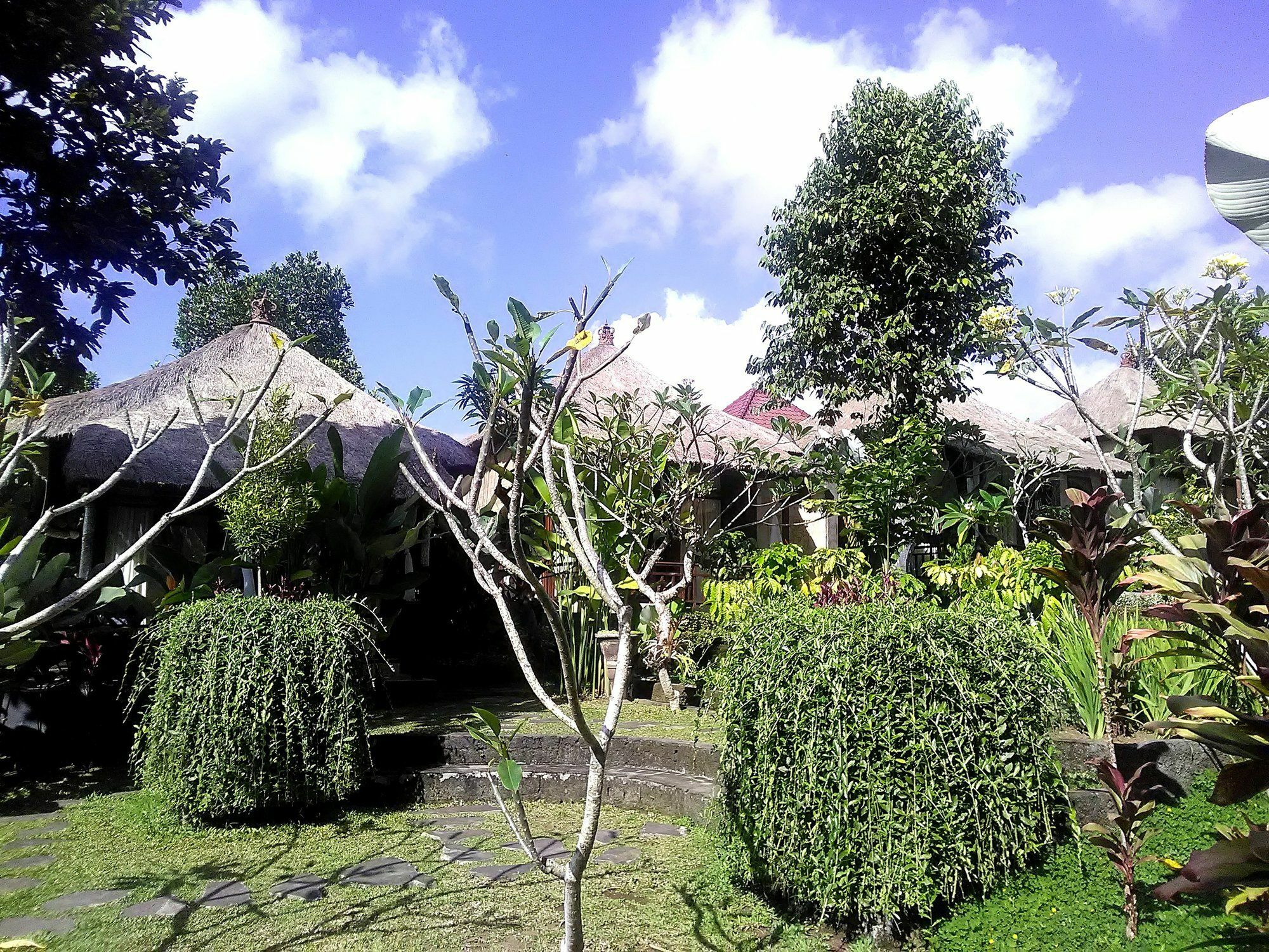 Hotel Astawa House Ubud Exterior foto