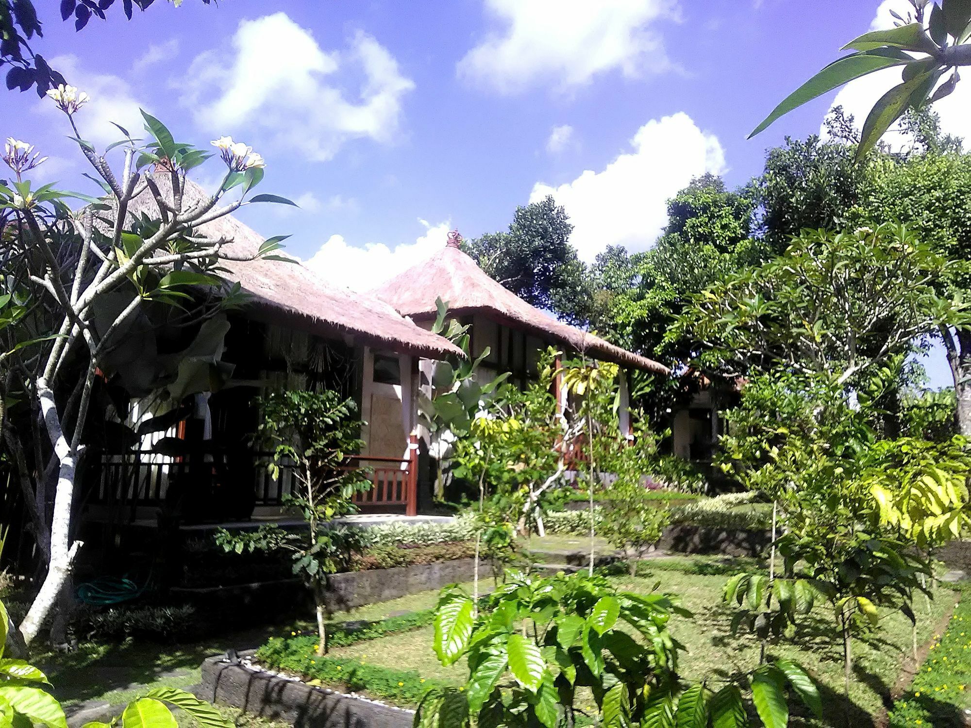 Hotel Astawa House Ubud Exterior foto