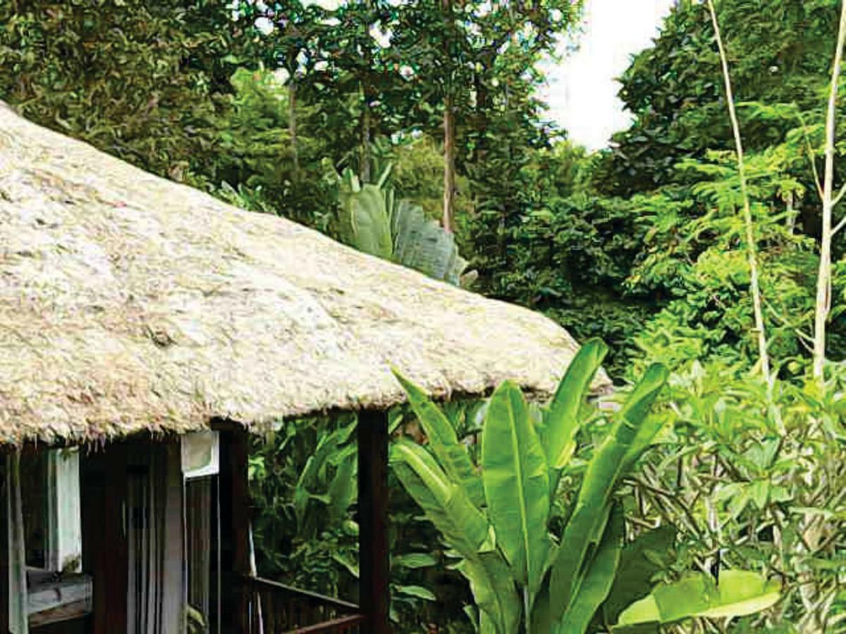 Hotel Astawa House Ubud Exterior foto