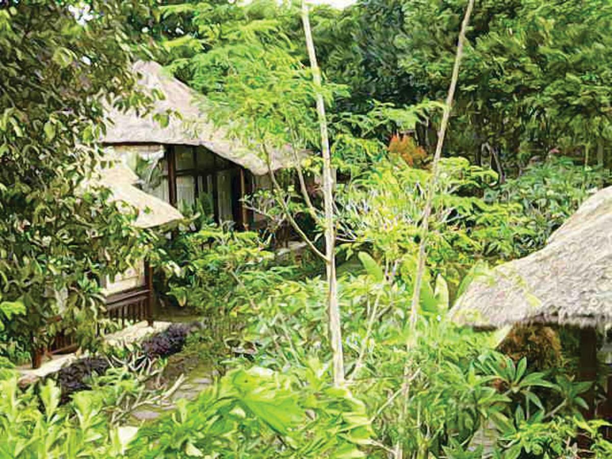 Hotel Astawa House Ubud Exterior foto